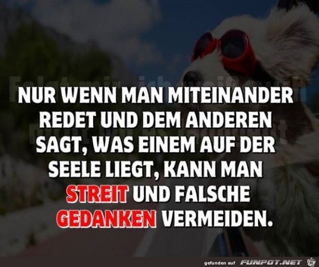 10 schöne Sprüche und Lebensweisheiten aus...
